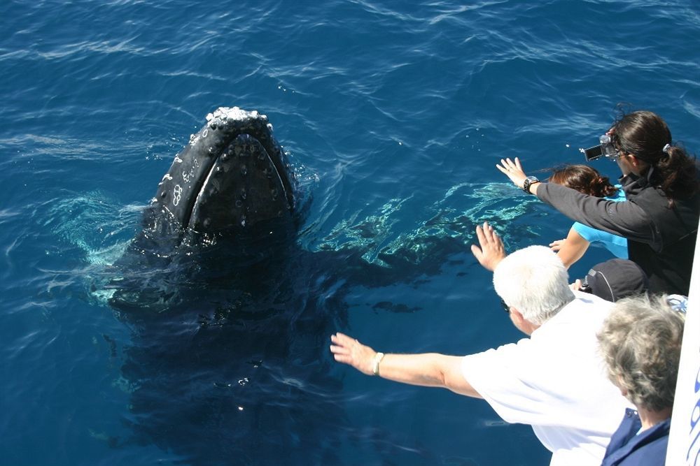 Discovery Parks - Fraser Street, Hervey Bay Ngoại thất bức ảnh